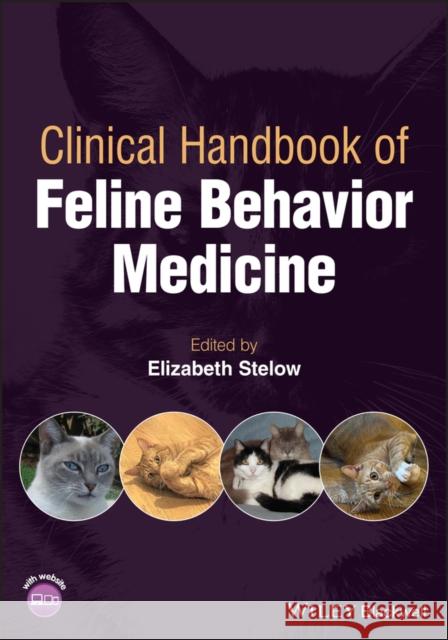 Clinical Handbook of Feline Behavior Medicine Stelow, Elizabeth 9781119653219 John Wiley and Sons Ltd - książka