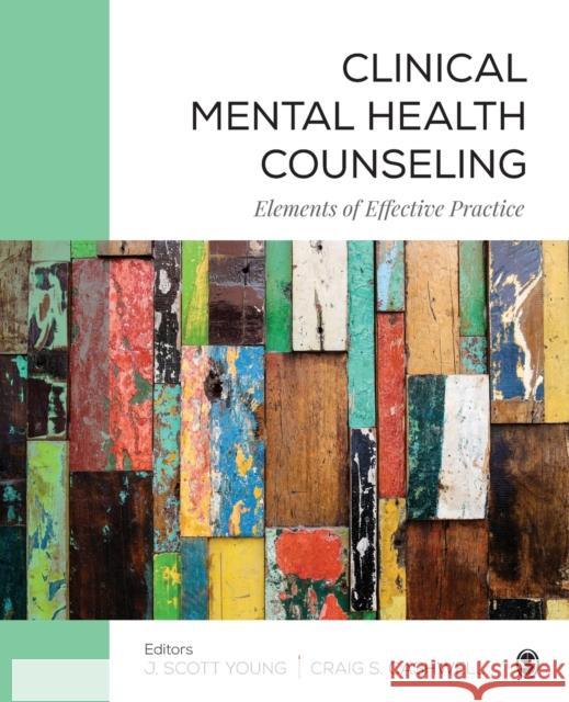 Clinical Mental Health Counseling: Elements of Effective Practice J. Scott Young Craig S. Cashwell 9781506305639 Sage Publications, Inc - książka