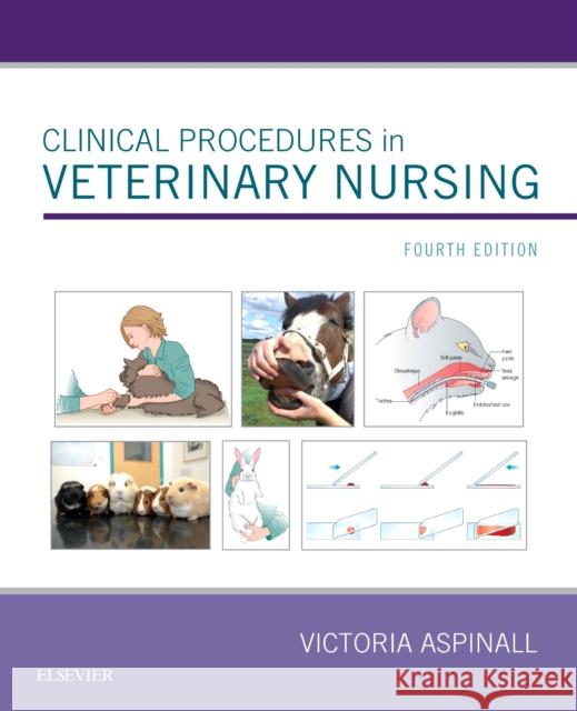 Clinical Procedures in Veterinary Nursing Victoria Aspinall   9780702073960 Elsevier Health Sciences - książka