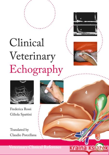 Clinical Veterinary Echography Francesca Rossi 9781910455739 5m Publishing - książka