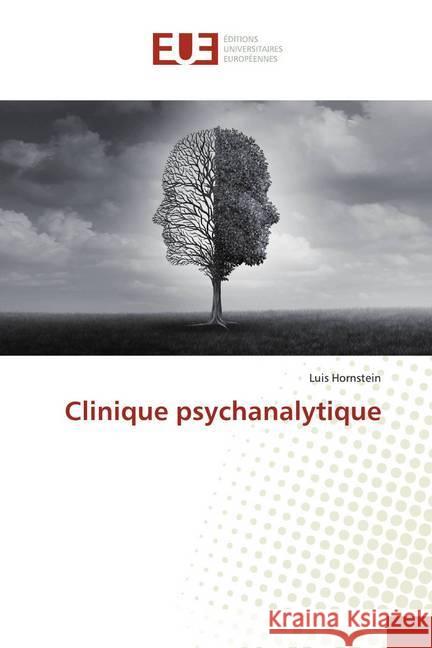 Clinique psychanalytique Hornstein, Luis 9786139531059 Éditions universitaires européennes - książka