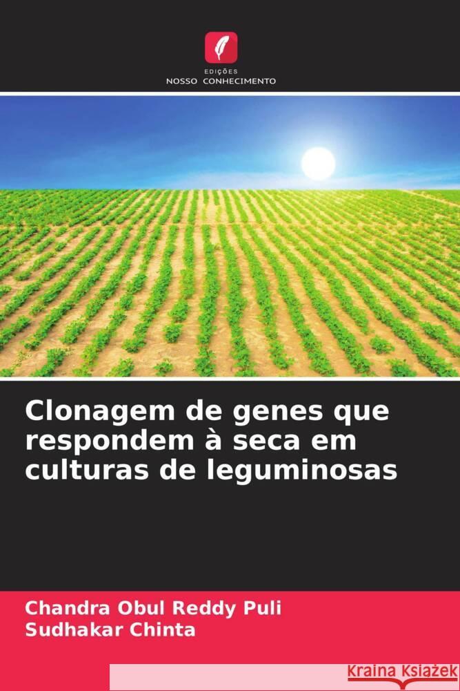Clonagem de genes que respondem à seca em culturas de leguminosas Puli, Chandra Obul Reddy, Chinta, Sudhakar 9786208571931 Edições Nosso Conhecimento - książka