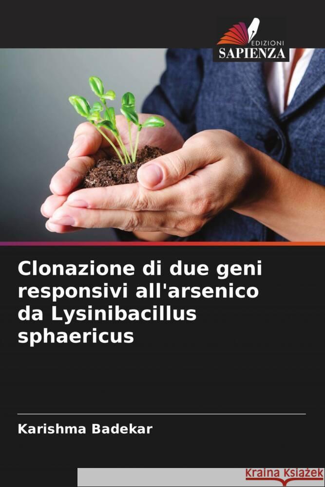 Clonazione di due geni responsivi all'arsenico da Lysinibacillus sphaericus Karishma Badekar 9786207994113 Edizioni Sapienza - książka