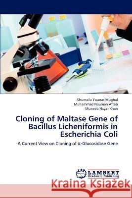 Cloning of Maltase Gene of Bacillus Licheniformis in Escherichia Coli Shumaila Younas Mughal Muhammad Nauman Aftab Muneeb Hayat Khan 9783659104015 LAP Lambert Academic Publishing - książka