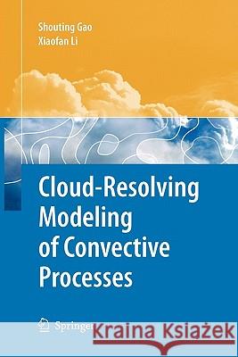 Cloud-Resolving Modeling of Convective Processes Shouting Gao Xiaofan Li 9789048178292 Springer - książka