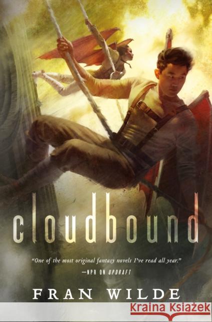 Cloudbound Fran Wilde 9780765377869 Tor Books - książka