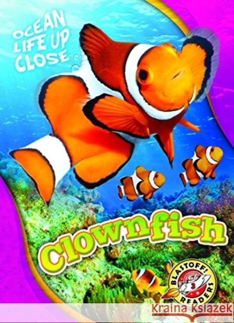 Clownfish Kari Schuetz 9781626174146 Bellwether Media Inc. - książka