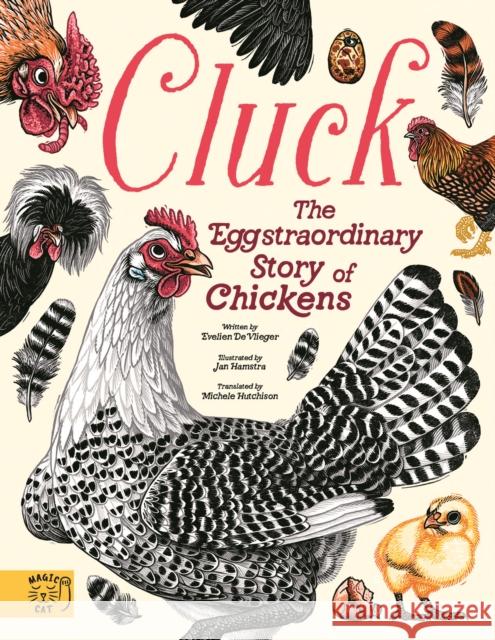 Cluck!: The Eggstraordinary Story of Chickens De Vlieger, Evelien 9781917366588 Magic Cat Publishing - książka