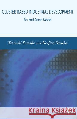 Cluster-Based Industrial Development: An East Asian Model Sonobe, Tetsushi 9780230004832 Palgrave MacMillan - książka