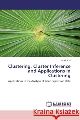 Clustering, Cluster Inference and Applications in Clustering Ray, Surajit 9783845423623 LAP Lambert Academic Publishing - książka