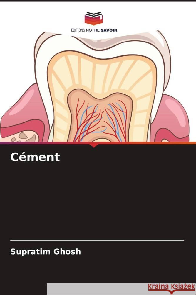 C?ment Supratim Ghosh 9786207985210 Editions Notre Savoir - książka