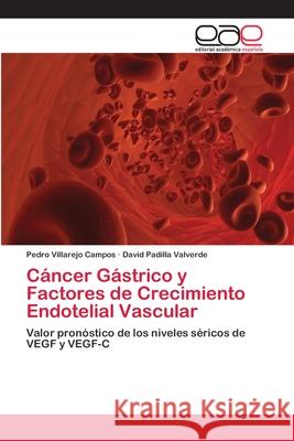 Cáncer Gástrico y Factores de Crecimiento Endotelial Vascular Villarejo Campos, Pedro 9783659067099 Editorial Academica Espanola - książka