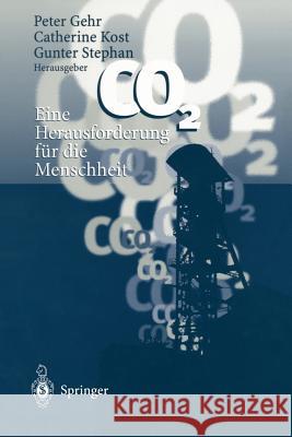 Co2 -- Eine Herausforderung Für Die Menschheit Gehr, Peter 9783540616603 New York - książka