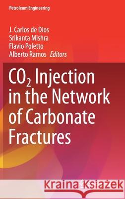 Co2 Injection in the Network of Carbonate Fractures J. Carlos d Srikanta Mishra Flavio Poletto 9783030629854 Springer - książka