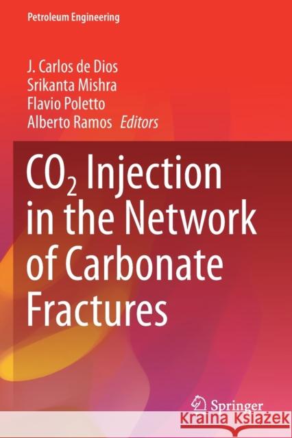 Co2 Injection in the Network of Carbonate Fractures de Dios, J. Carlos 9783030629885 Springer International Publishing - książka