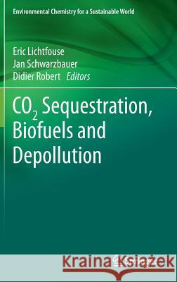 Co2 Sequestration, Biofuels and Depollution Lichtfouse, Eric 9783319119052 Springer - książka