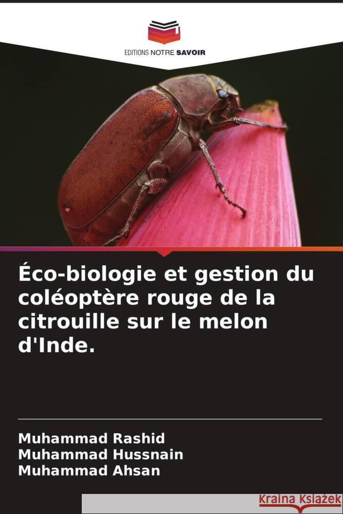 Éco-biologie et gestion du coléoptère rouge de la citrouille sur le melon d'Inde. Rashid, Muhammad, Hussnain, Muhammad, Ahsan, Muhammad 9786205062210 Editions Notre Savoir - książka