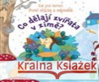 Co dělají zvířata v zimě? Katie Daynes 9788025632253 Svojtka & Co. - książka