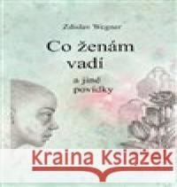 Co ženám vadí Zdislav Wegner 9788076291003 Talent Pro ART - książka