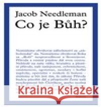 Co je Bůh? Jacob Needleman 9788075302724 Malvern - książka
