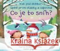 Co je to sníh? - Kuk pod okénko Marta Álvarez Miguéns 9788025625606 Svojtka & Co. - książka