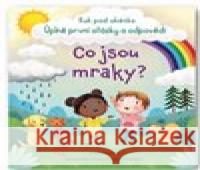 Co jsou mraky? Marta Álvarez Miguéns 9788025633458 Svojtka & Co. - książka