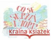 Co se skrývá v moři Aina Bestardová 9788075779137 Host - książka