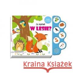 Co słychać w lesie? praca zbiorowa 9788380388567 Arystoteles - książka