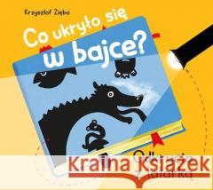 Co ukryło się w bajce? Odkrycia z latarką Krzysztof Zięba 9788377636695 Multico - książka