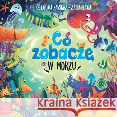 Co zobaczę w morzu. Oglądaj, wskaż, zapamiętaj Sylwia Kajdana 9788382132212 Aksjomat - książka