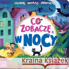 Co zobaczę w nocy. Oglądaj, wskazuj, zapamiętuj Sylwia Kajdana 9788382134254 Aksjomat - książka