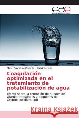 Coagulación optimizada en el tratamiento de potabilización de agua Zerbatto Mariel Guadalupe, Lerman Beatriz 9783639781632 Editorial Academica Espanola - książka