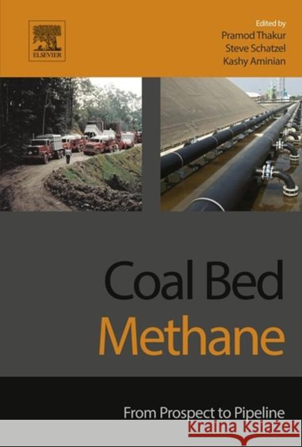 Coal Bed Methane: From Prospect to Pipeline Kashy Aminian 9780128008805 Elsevier Science & Technology - książka