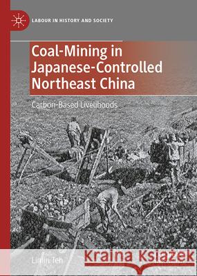 Coal-Mining in Japanese-Controlled Northeast China: Carbon-Based Livelihoods Limin Teh 9783032059161 Palgrave MacMillan - książka