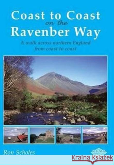 Coast to Coast on the Ravenber Way: A Walk Across Northern England from Coast to Coast Ron Scholes 9781850588719 Sigma Press - książka