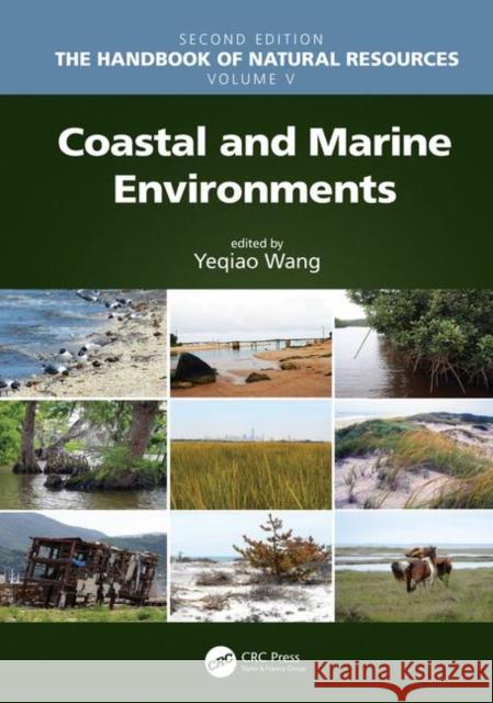 Coastal and Marine Environments Yeqiao Wang 9781138339637 CRC Press - książka