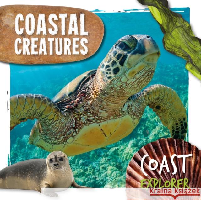 Coastal Creatures Robin Twiddy 9781786379894 BookLife Publishing - książka