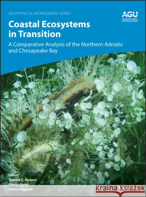Coastal Ecosystems in Transition: A Comparative Analysis of the Northern Adriatic and Chesapeake Bay Thomas C. Malone Alenka Malej Jadran Faganeli 9781119543589 American Geophysical Union - książka