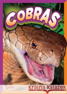 Cobras Gail Terp 9781644663684 Black Rabbit Books - książka