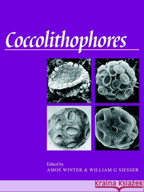 Coccolithophores Amos Winter William G. Siesser 9780521031691 Cambridge University Press - książka