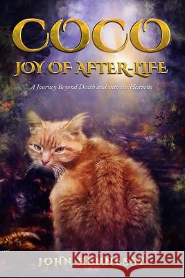Coco: Joy of After-Life (A Journey Beyond Death and into the Heavens) Hennessy, John 9781727763331 Createspace Independent Publishing Platform - książka