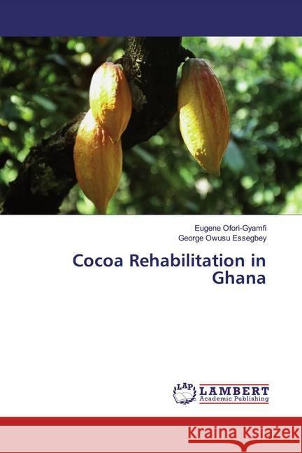 Cocoa Rehabilitation in Ghana Ofori-Gyamfi, Eugene; Owusu Essegbey, George 9786139444144 LAP Lambert Academic Publishing - książka