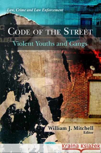 Code of the Street: Violent Youths & Gangs Brenden M Zimmer 9781617618864 Nova Science Publishers Inc - książka