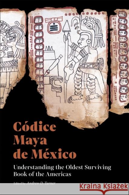 Códice Maya de México: Understanding the Oldest Surviving Book of the Americas Turner, Andrew D. 9781606067888 Getty Trust Publications - książka