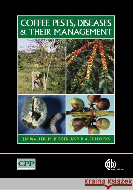 Coffee Pests, Diseases and Their Management J. M. Waller R. J. Hillocks M. Bigger 9781845931292 Oxford University Press, USA - książka