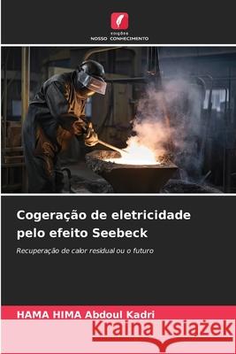 Cogeração de eletricidade pelo efeito Seebeck Abdoul Kadri, HAMA HIMA 9783330751880 Edições Nosso Conhecimento - książka