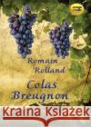 Colas Breugnon audiobook ROMAIN ROLLAND 9788362797769 Lissner Studio