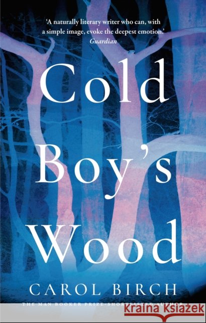 Cold Boy's Wood Carol Birch 9781838939410 Head of Zeus - książka