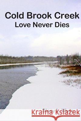 Cold Brook Creek: Love Never Dies Stacy Lynn Wurz 9781978114173 Createspace Independent Publishing Platform - książka