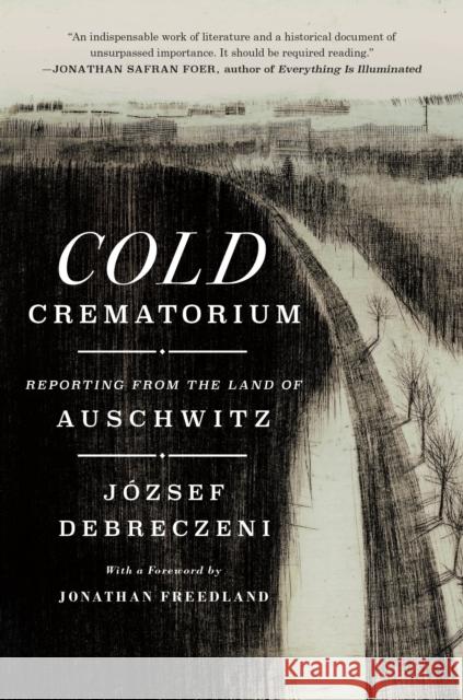 Cold Crematorium Jozsef Debreczeni 9781250290533 St. Martin's Publishing Group - książka